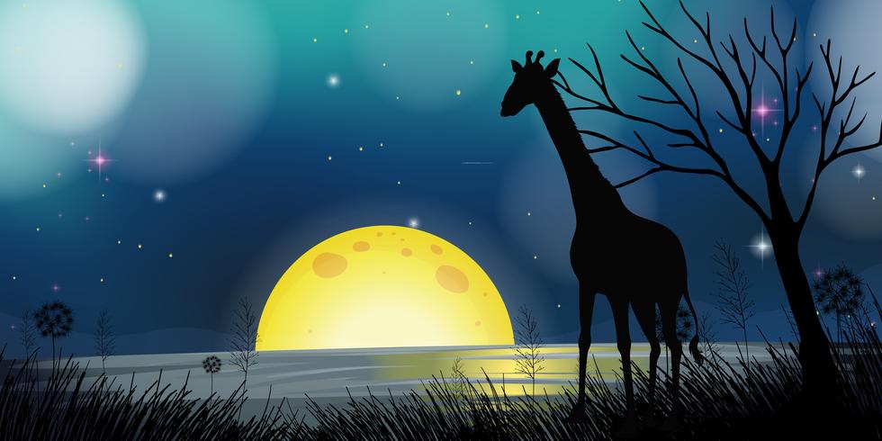 Scena di sfondo con giraffa silhouette di notte vettore