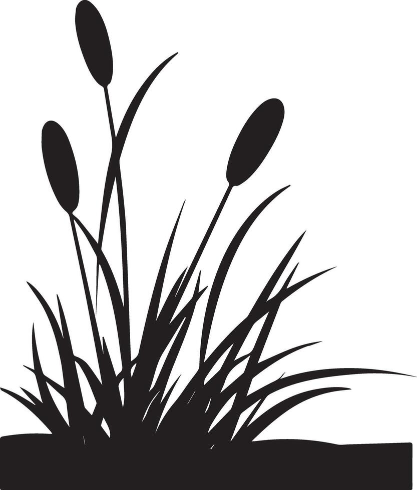 silhouette canna pianta Immagine vettore