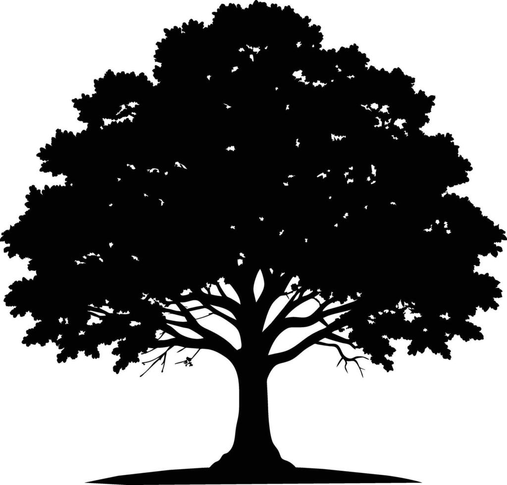 quercia albero silhouette nero su bianca sfondo vettore
