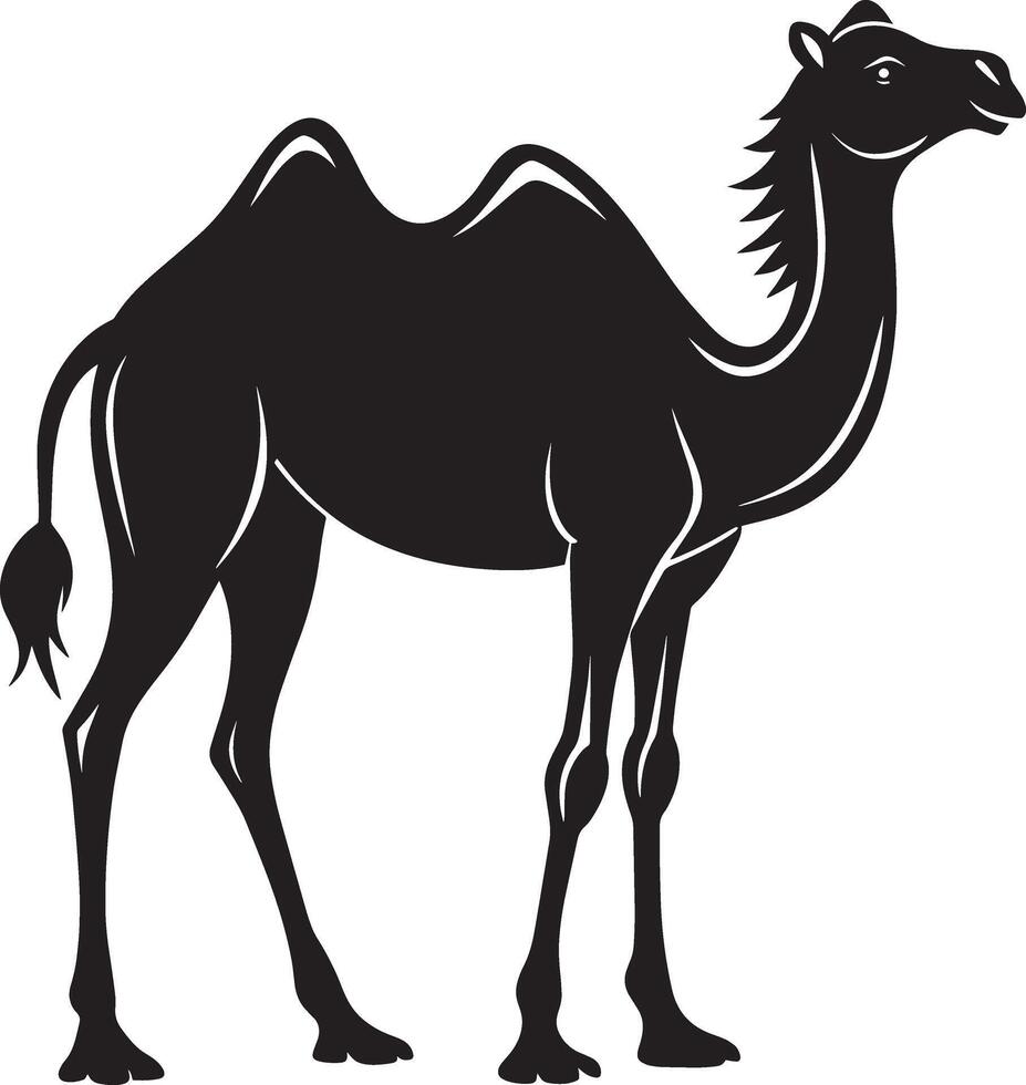 cammello nel nero su un' bianca sfondo, illustrazione vettore