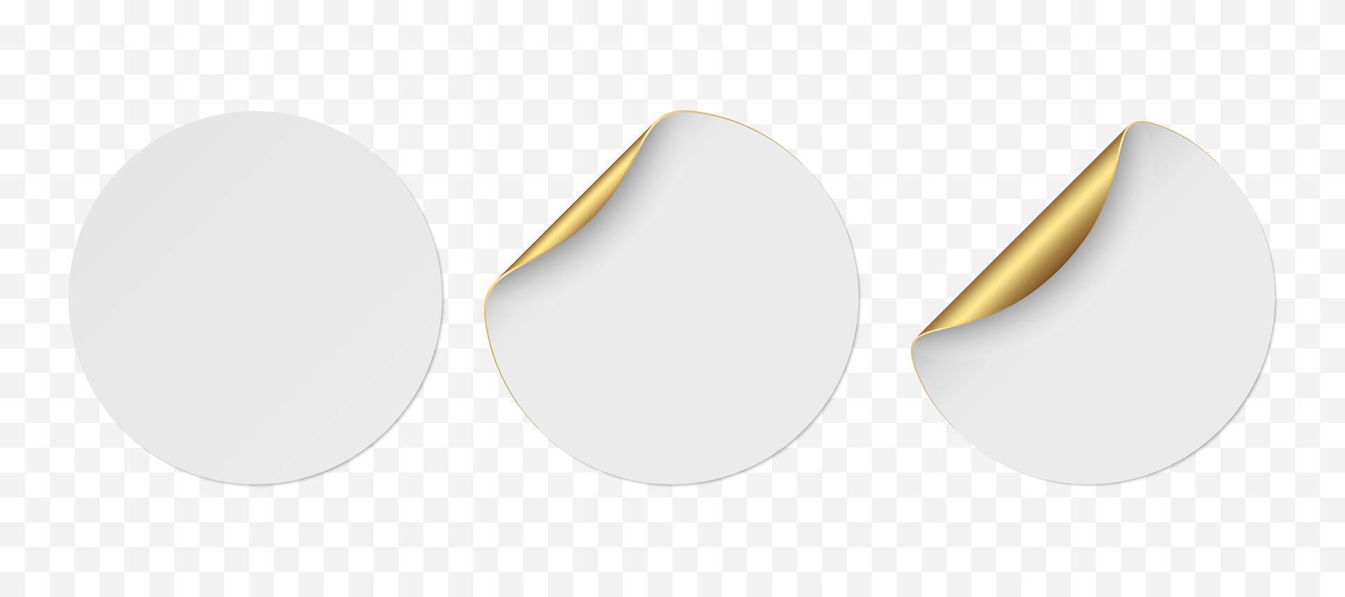 bianca realistico cerchio carta adesivi con d'oro angolo isolato vettore