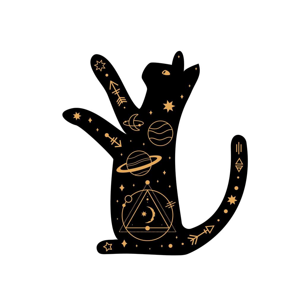 gatto magico nero, simbolo esoterico della luna crescente mistica, elementi della costellazione. animale domestico nero stregato vettore