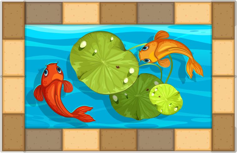 Due pesci che nuotano nella piccola piscina vettore