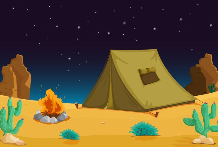 Camping di notte vettore