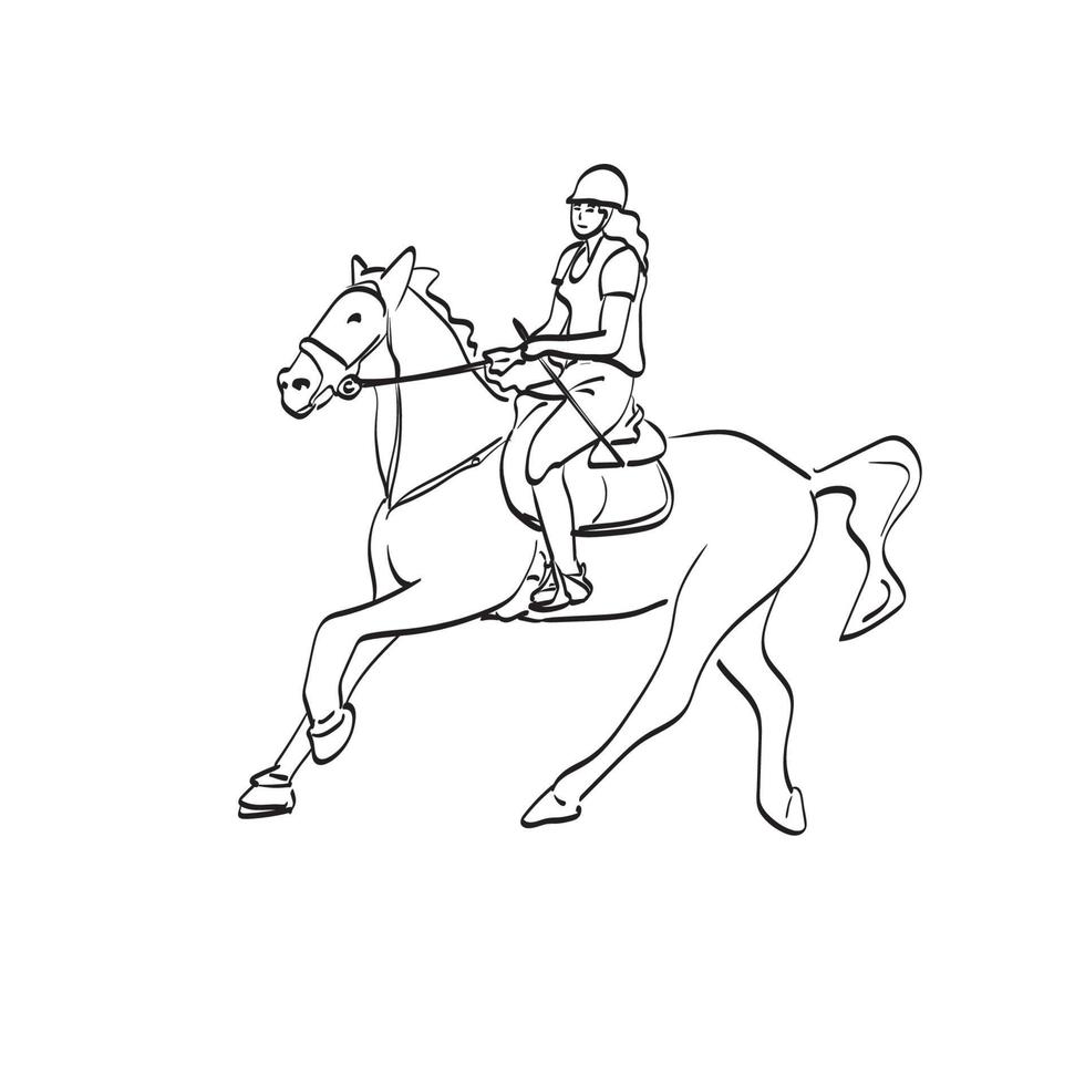 line art, femmina, dressage, cavaliere, su, baio, cavallo, illustrazione, vettore, isolato, bianco, background vettore
