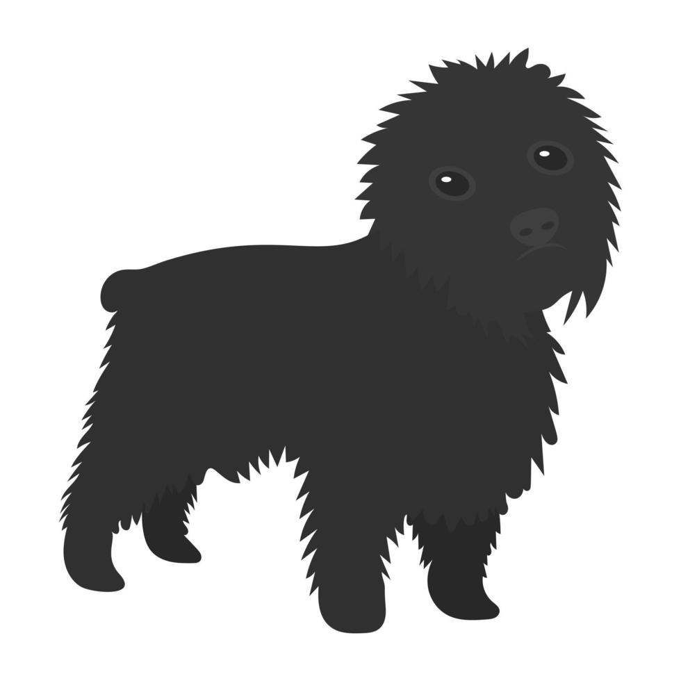 concetti di affenpinscher alla moda vettore