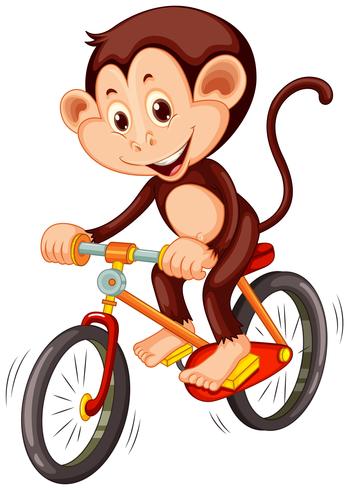 Piccola scimmia in sella a una bicicletta vettore