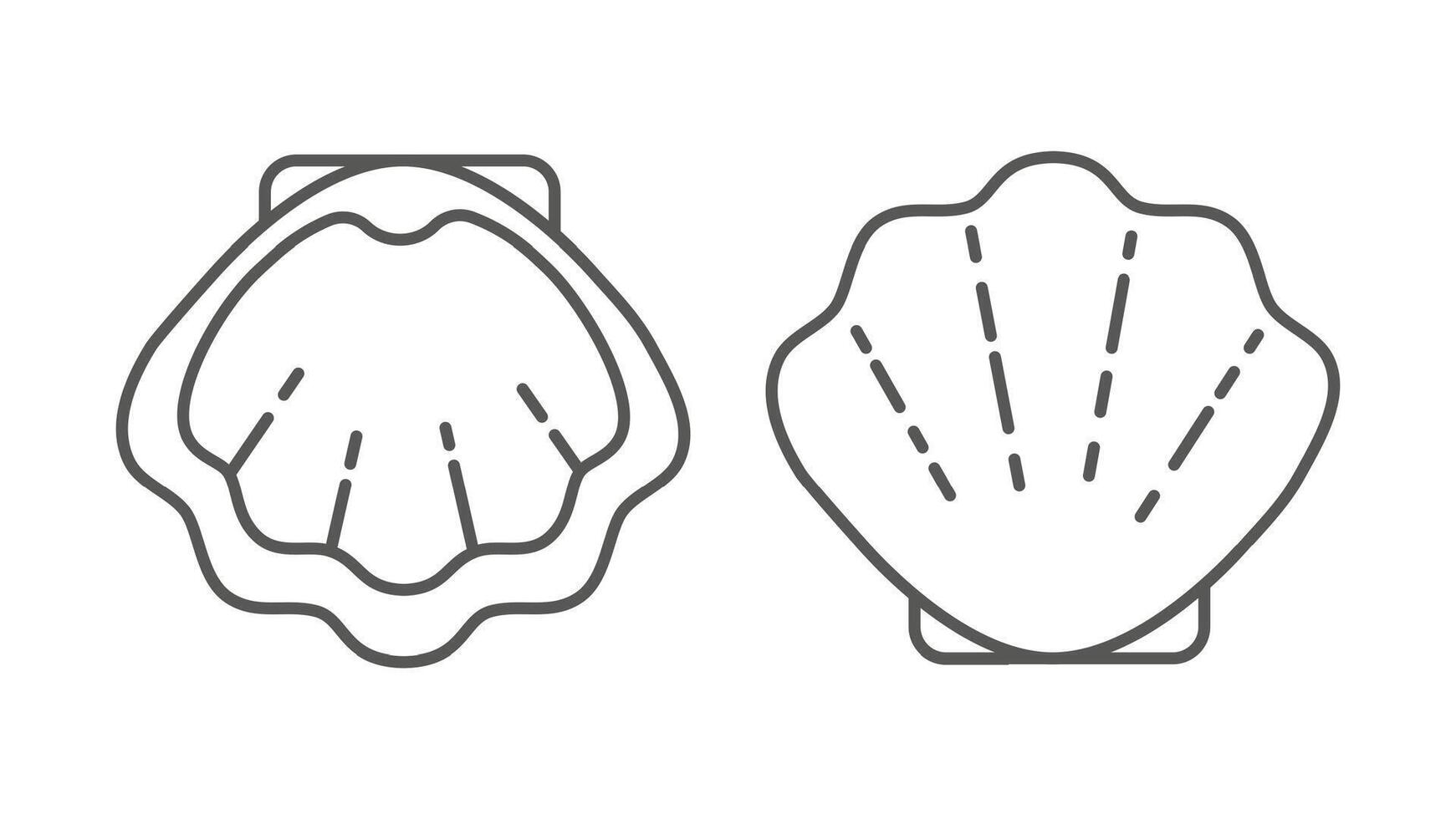 Due metà di un' conchiglia separato. logo, design elemento. linea illustrazione isolato su bianca. vettore