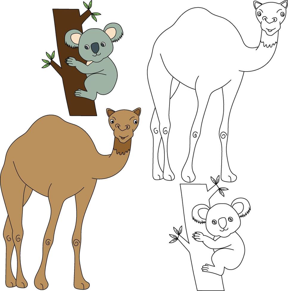 cammello e koala clipart. selvaggio animali clipart collezione per Gli amanti di giungle e animali selvatici. Questo impostato volontà essere un' Perfetto aggiunta per il tuo safari e a tema zoo progetti vettore