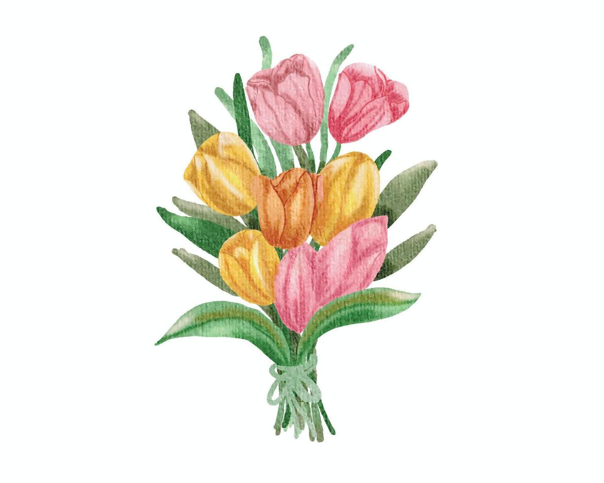 acquerello tulipano fiore mazzo illustrazione vettore