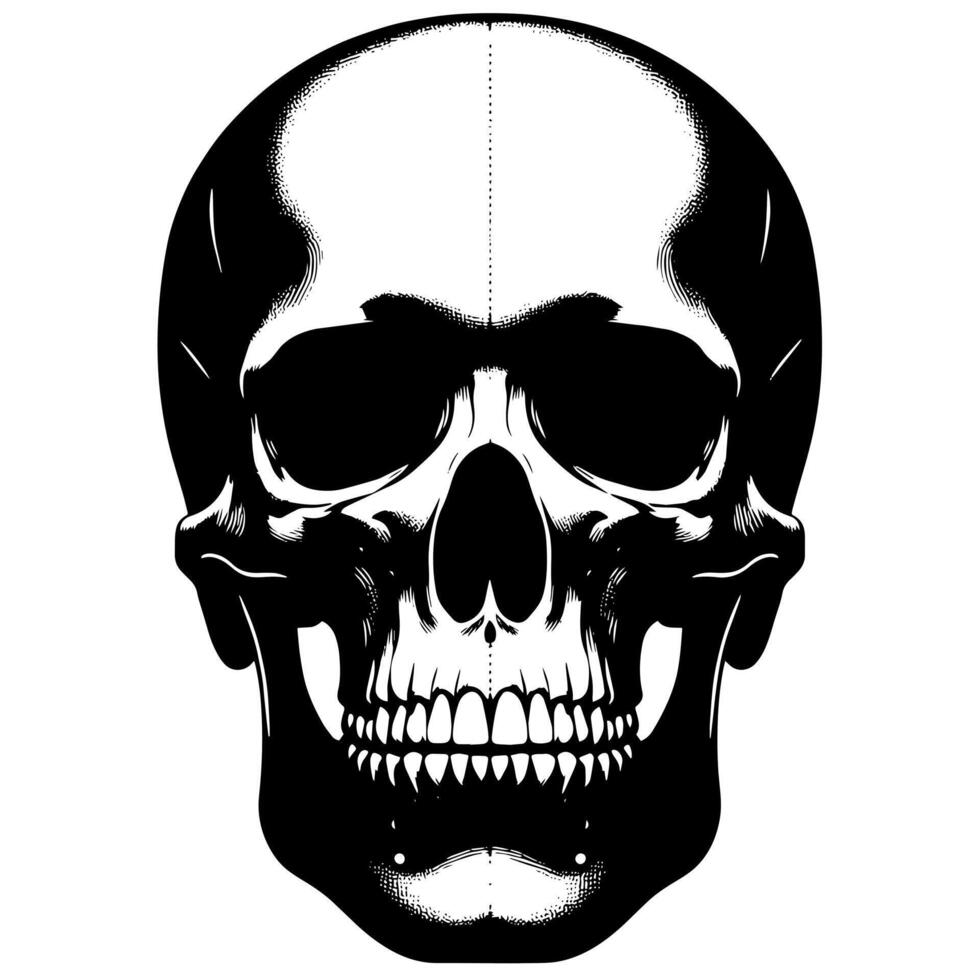 nero e bianca illustrazione di un' umano cranio vettore