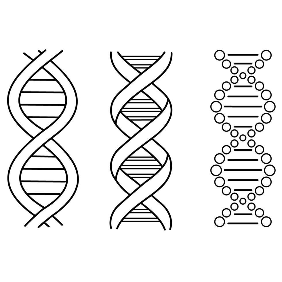 impostato di astratto dna molecola schema icona isolato su bianca vettore