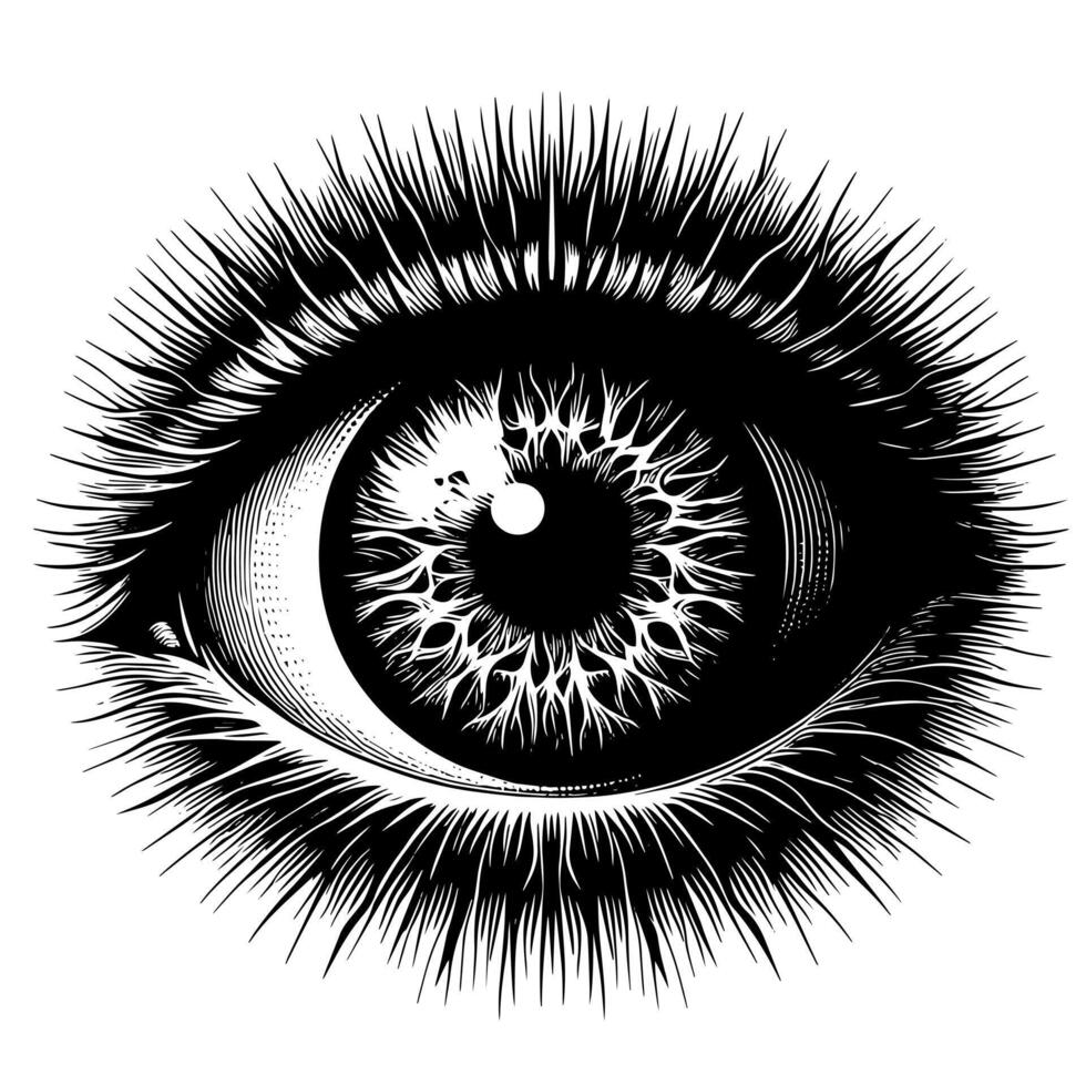 nero e bianca illustrazione di il umano occhio iris vettore