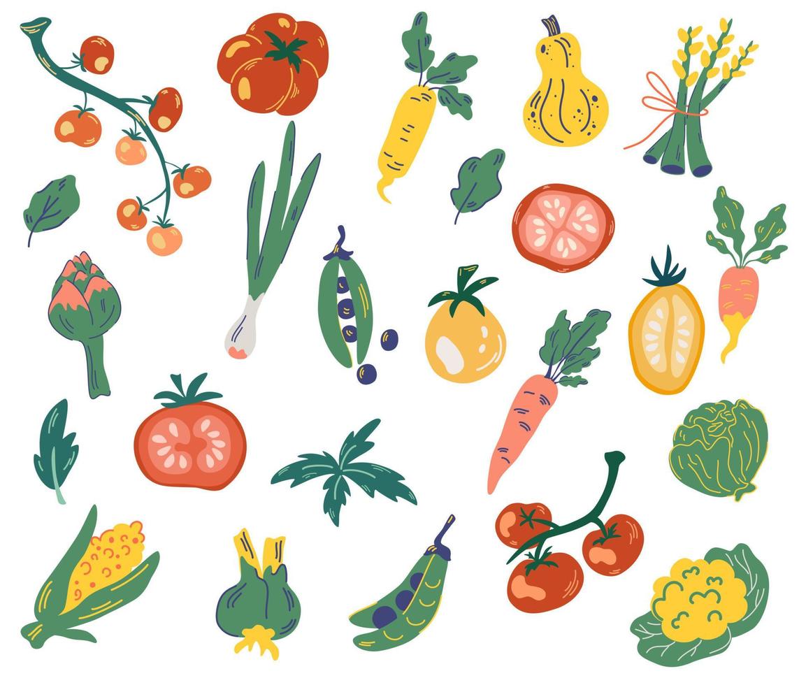 insieme di verdure. cibo sano vegetariano. vegano, fattoria, biologico, naturale. verdure fresche deliziose disegnate a mano isolate su priorità bassa bianca. illustrazione vettoriale. vettore