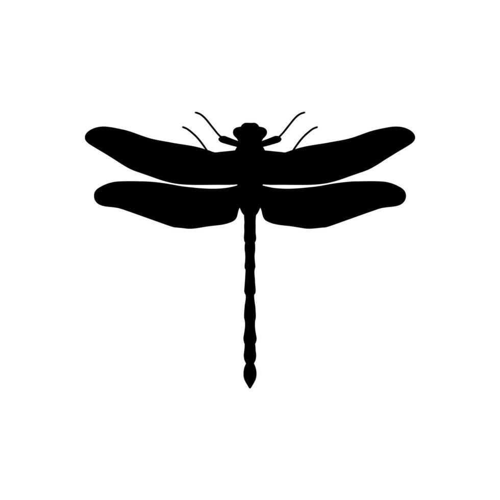 libellula nero e bianca silhouette illustrazione. nero e bianca realistico mano disegno di libellula insetto su bianca sfondo vettore
