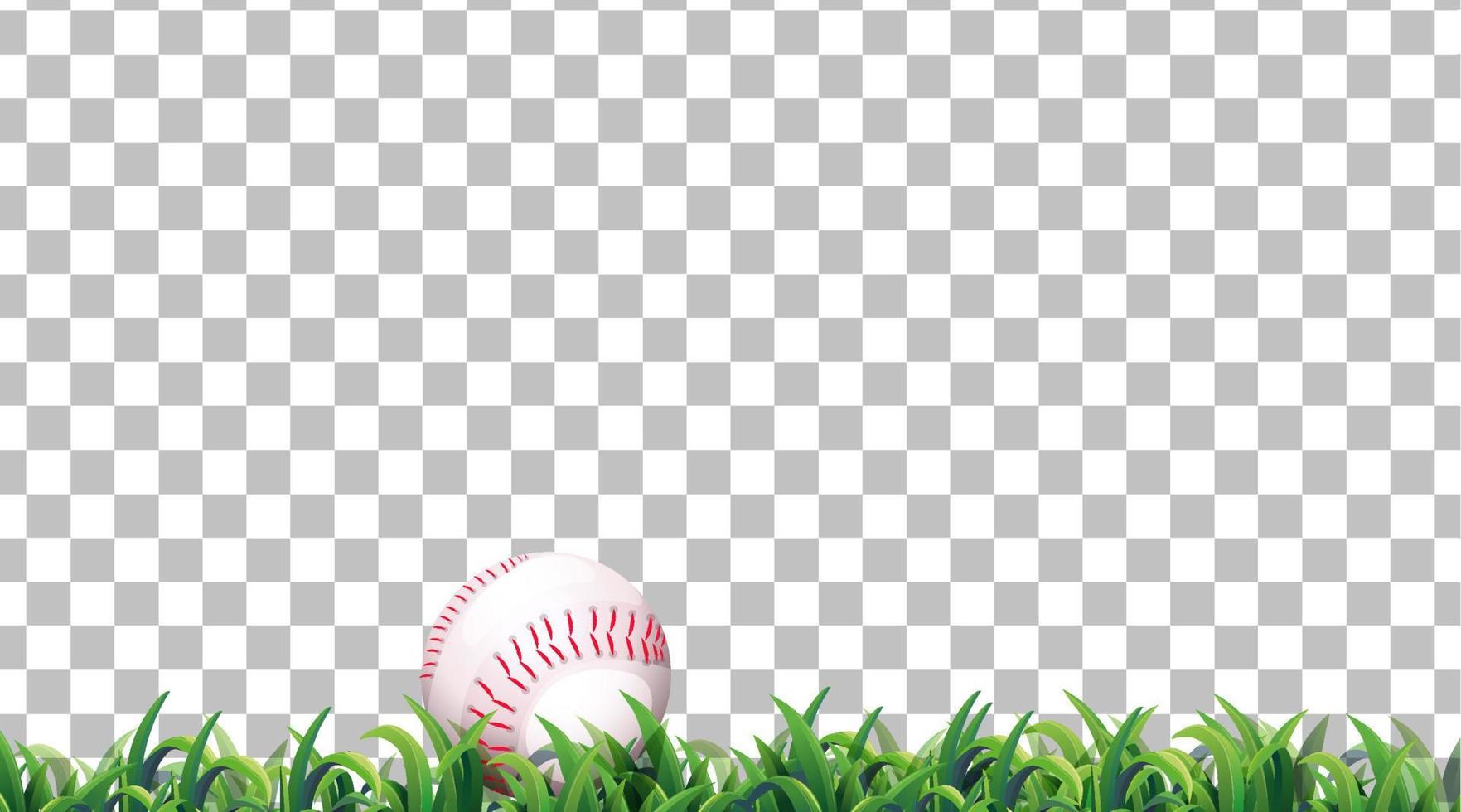 baseball sul campo in erba sullo sfondo della griglia vettore