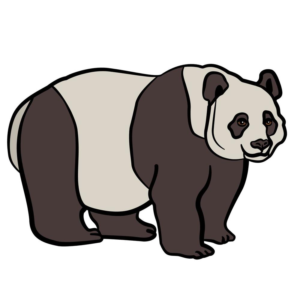 illustrazione dell'orso panda vettore