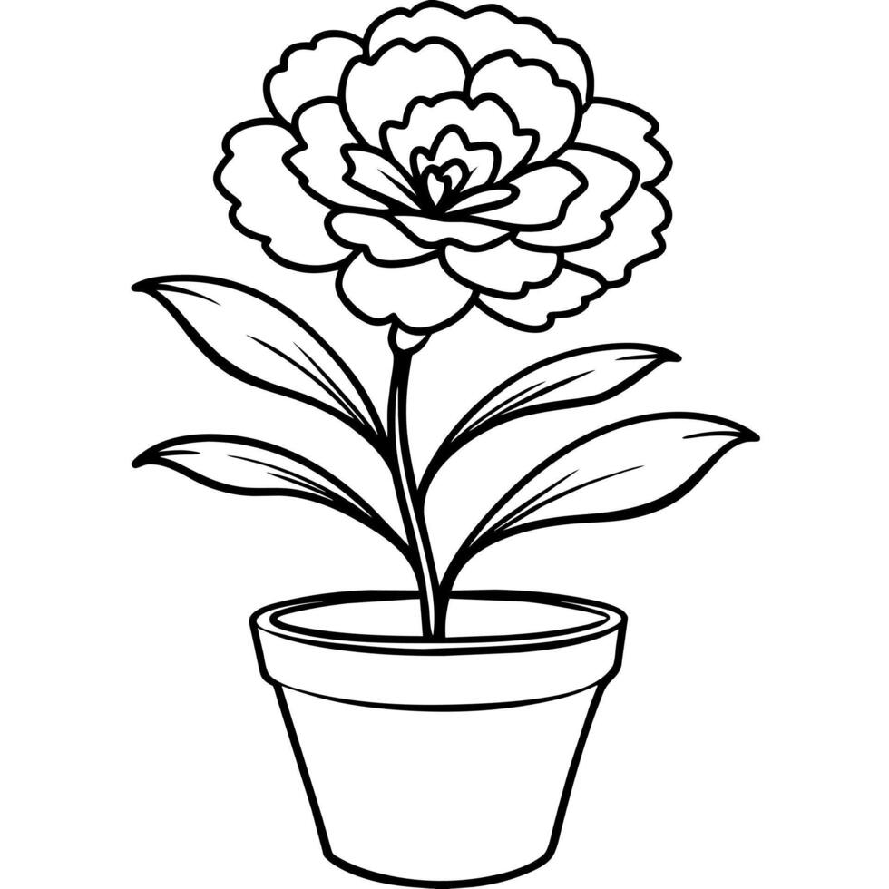 garofano fiore pianta schema illustrazione colorazione libro pagina disegno, garofano fiore pianta nero e bianca linea arte disegno colorazione libro pagine per bambini e adulti vettore