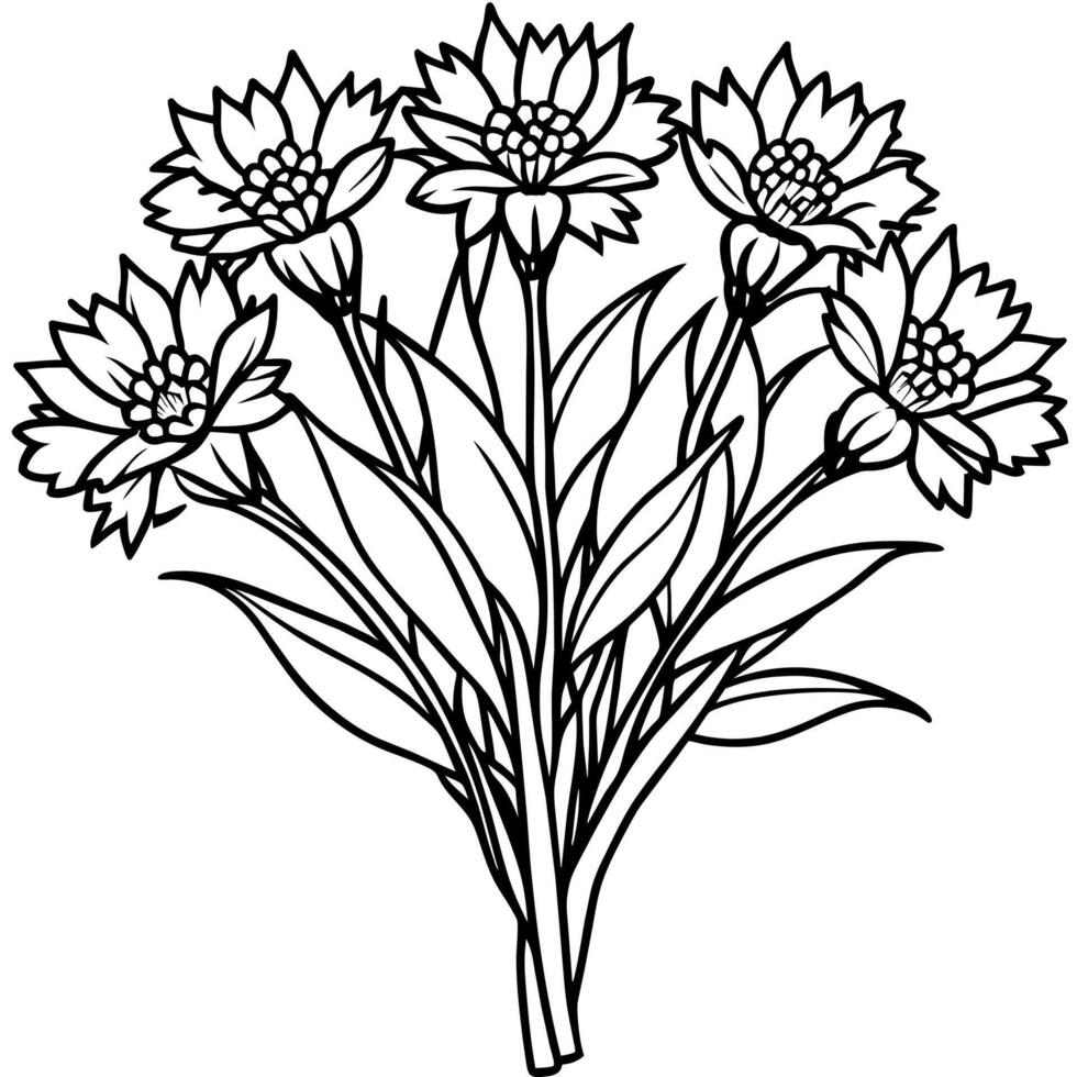 fiordaliso fiore mazzo schema illustrazione colorazione libro pagina disegno, fiordaliso fiore mazzo nero e bianca linea arte disegno colorazione libro pagine per bambini e adulti vettore