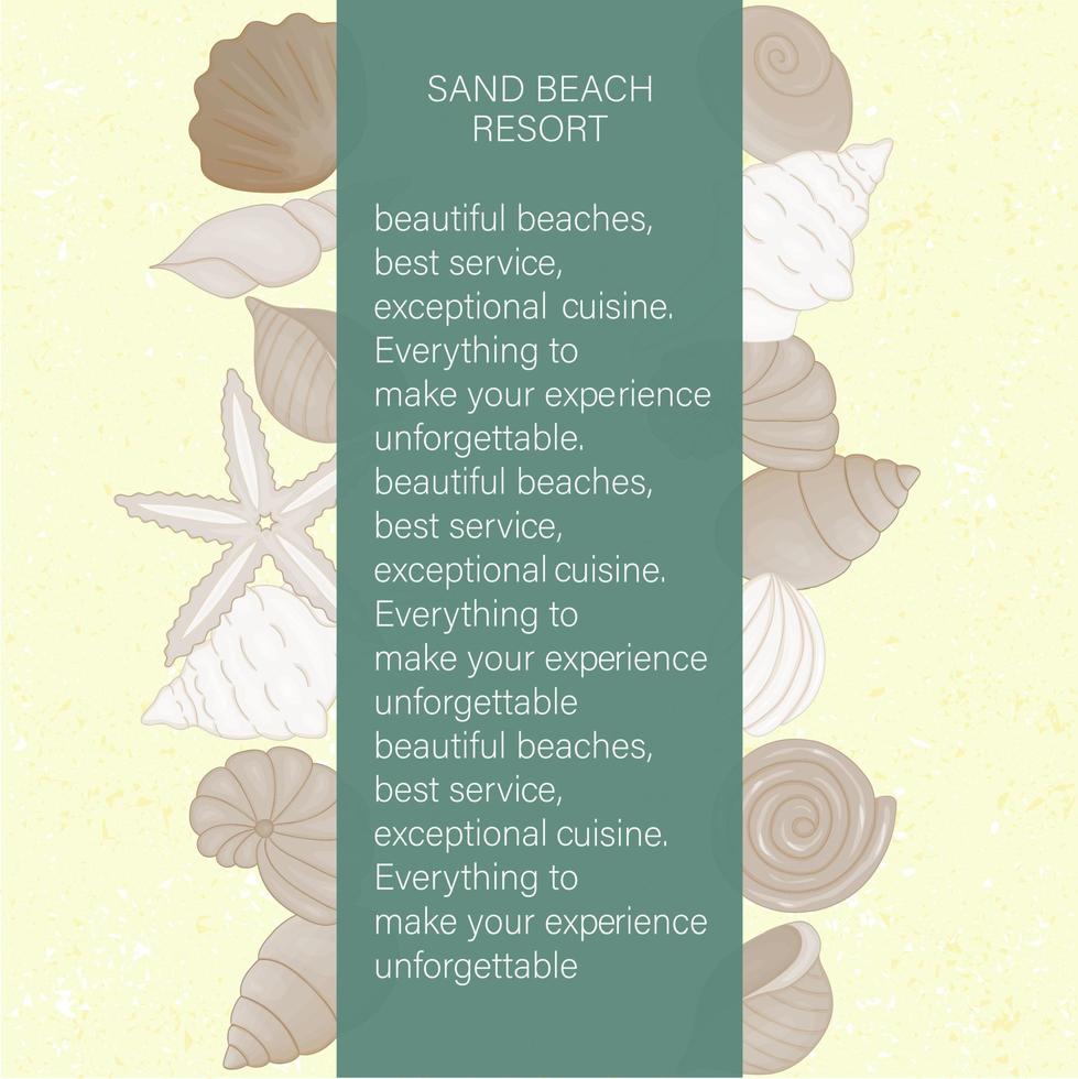 vettore colorato set di conchiglie sulla sabbia gialla come sfondo con texture. bandiera del resort sulla spiaggia di sabbia. modello di poster marino colorato