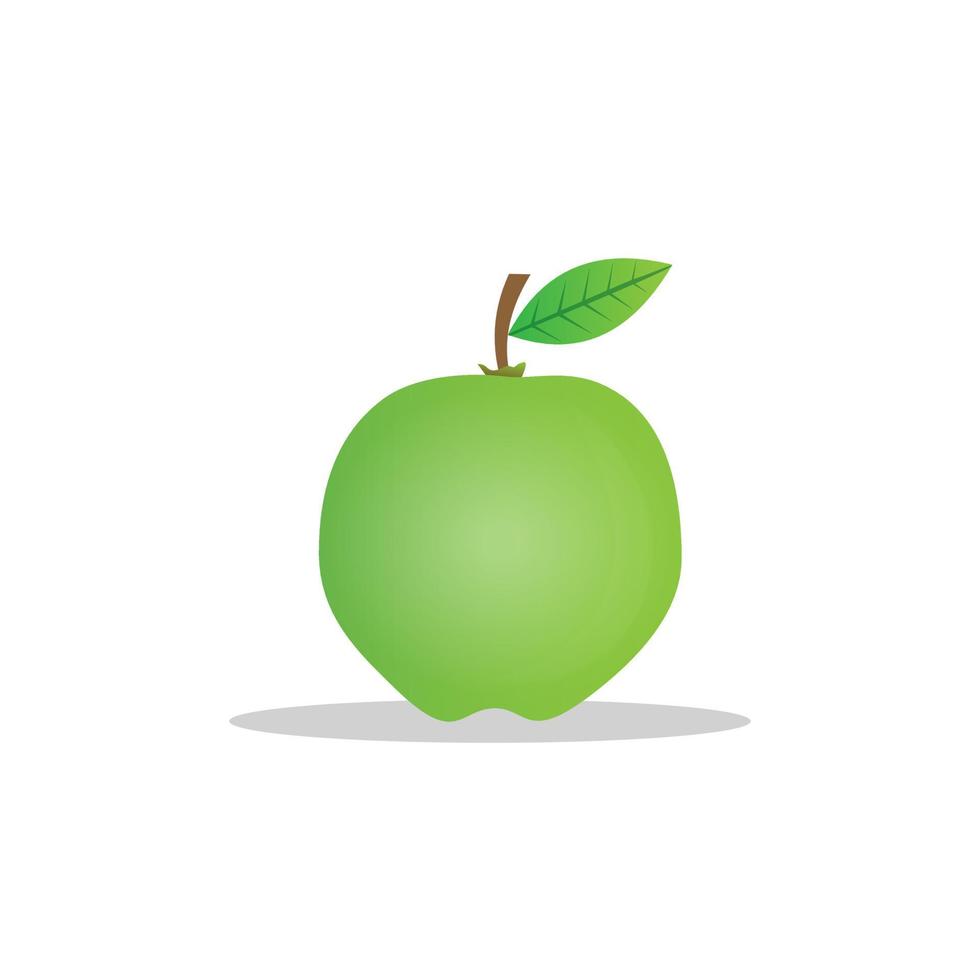 illustrazione vettoriale di disegno di frutta guava. trama verde. bianco isolato. design moderno della frutta