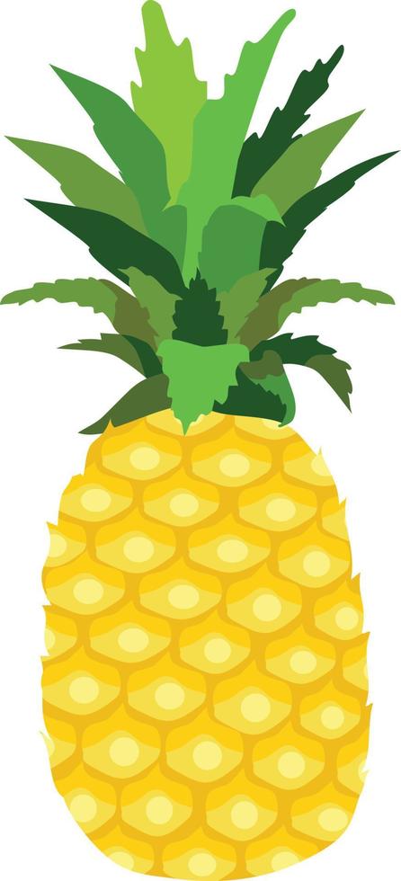 illustrazione vettoriale di frutta ananas