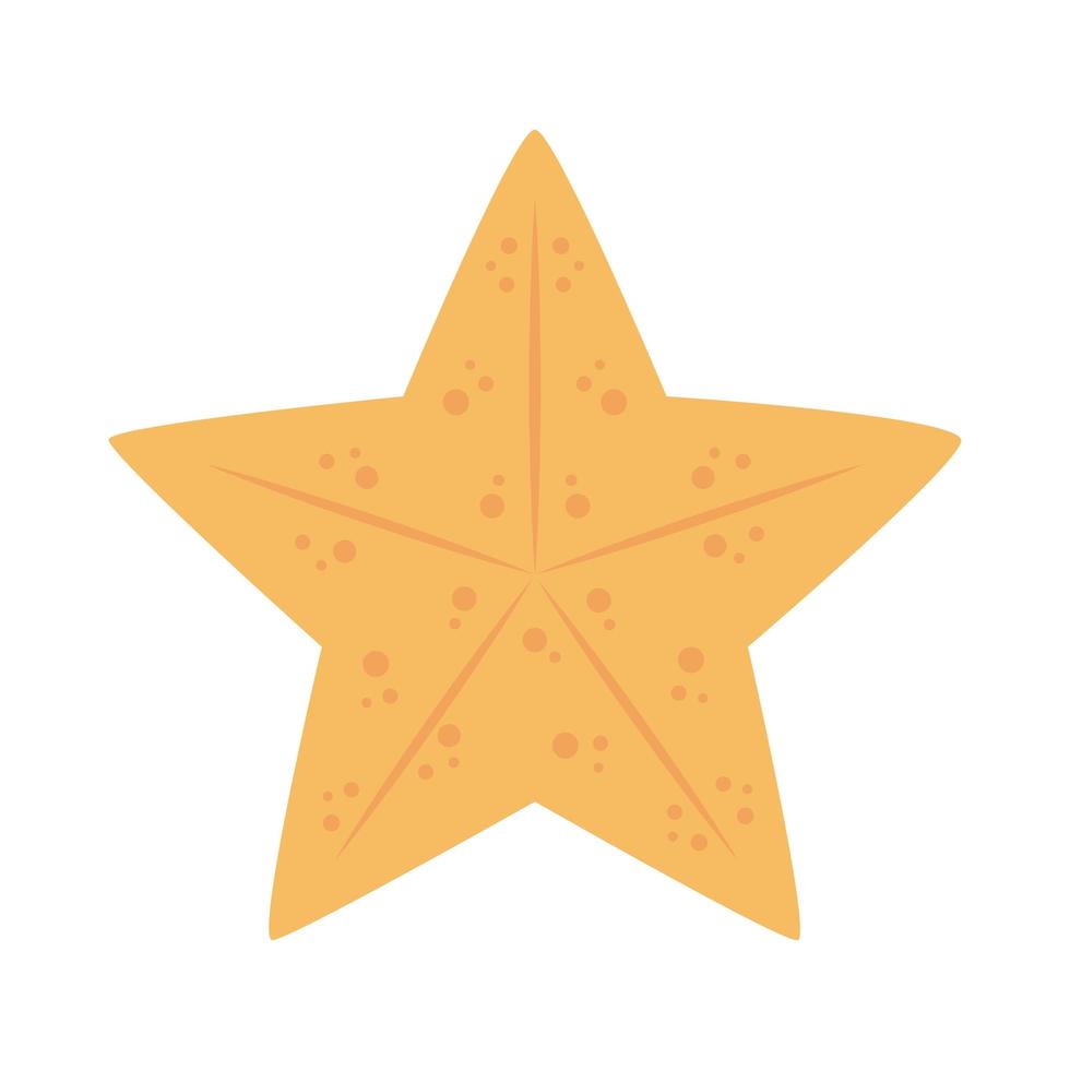 stella marina animale marino in icona isolato stile piano vettore