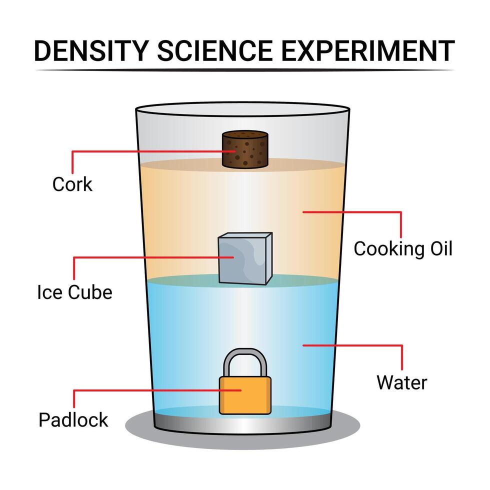 densità sperimentare con acqua e olio vettore