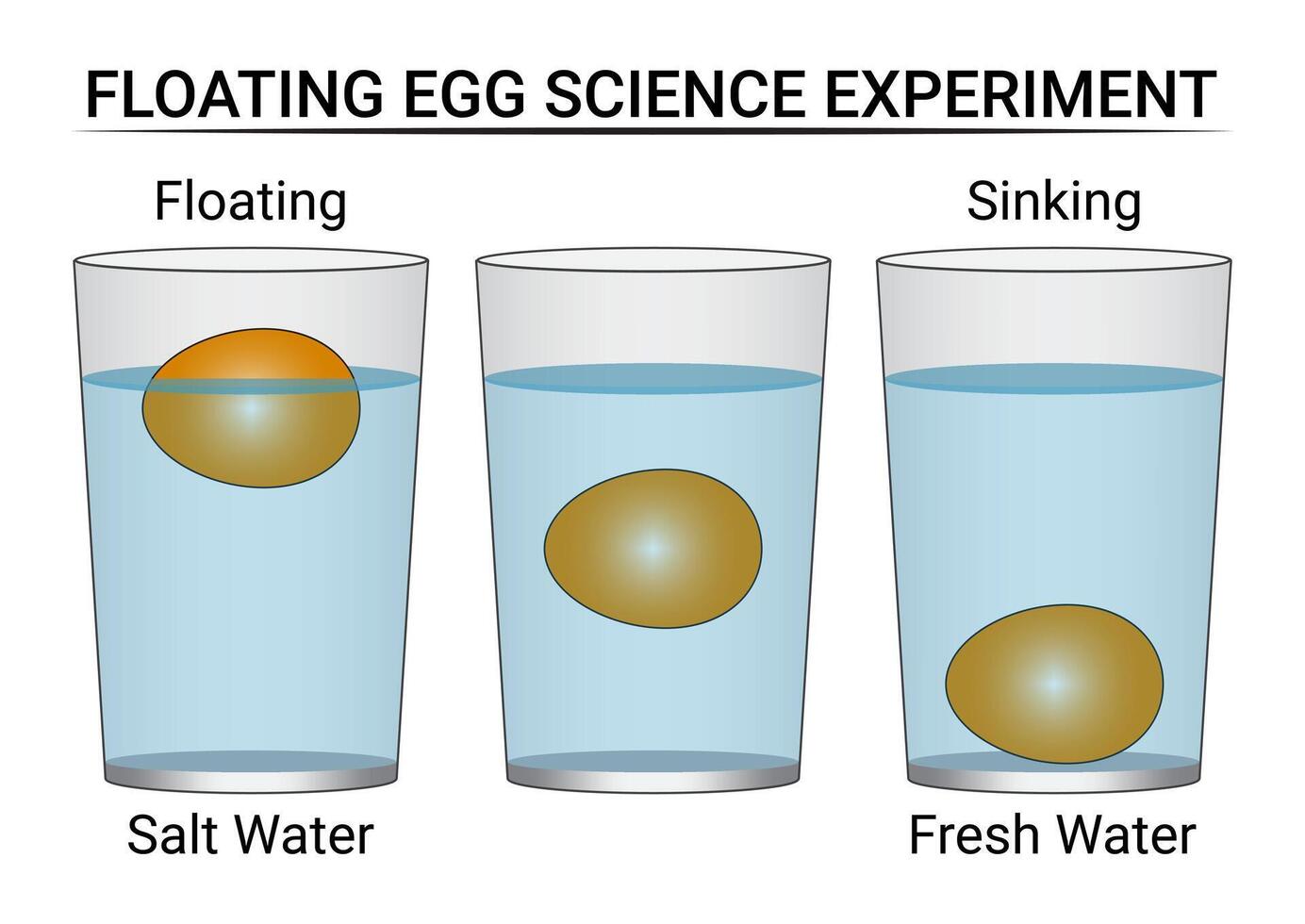 galleggiante uovo scienza sperimentare utilizzando sale acqua e fresco acqua vettore