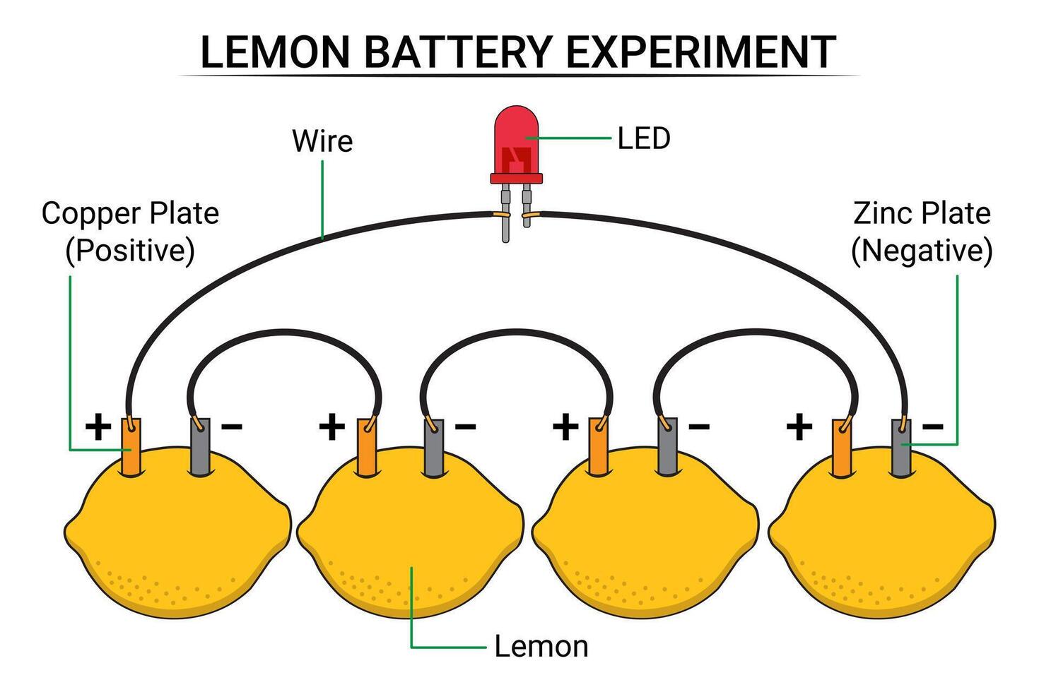 un' serie di Limone batterie collegato per un' lampada vettore