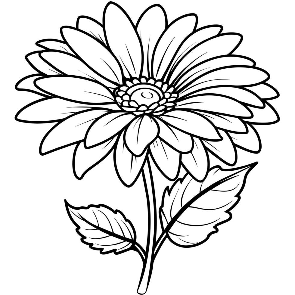 gerbera fiore pianta schema illustrazione colorazione libro pagina disegno, gerbera fiore pianta nero e bianca linea arte disegno colorazione libro pagine per bambini e adulti vettore