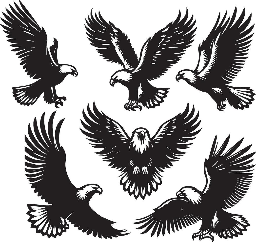 aquila silhouette impostare. aquila illustrazione vettore