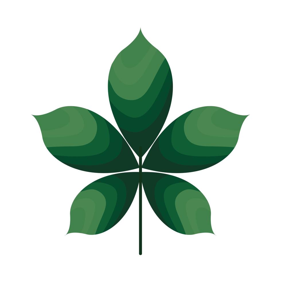 piano con cinque foglie di colore verde vettore