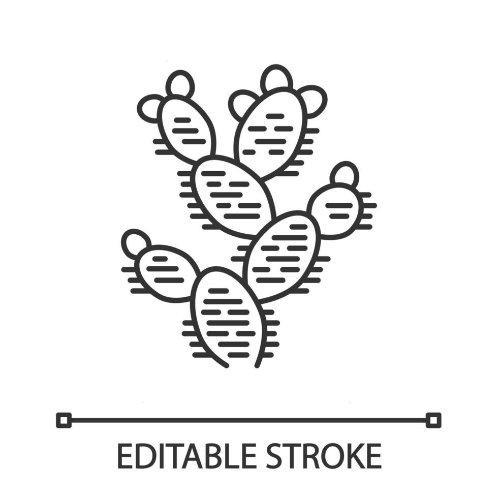 icona lineare di fico d'India. opuntia. cactus selvaggio della pagaia. pianta della natura messicana. illustrazione di linea sottile. simbolo di contorno. disegno vettoriale isolato profilo. tratto modificabile