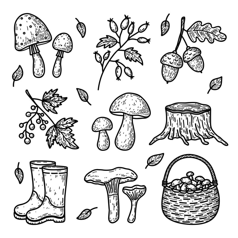 doodle set di elementi autunnali: funghi di bosco, ramoscelli di bacche, ghiande, stivali di gomma e altri. illustrazione disegnata a mano di vettore isolato su priorità bassa bianca. perfetto per carte, logo, decorazioni.