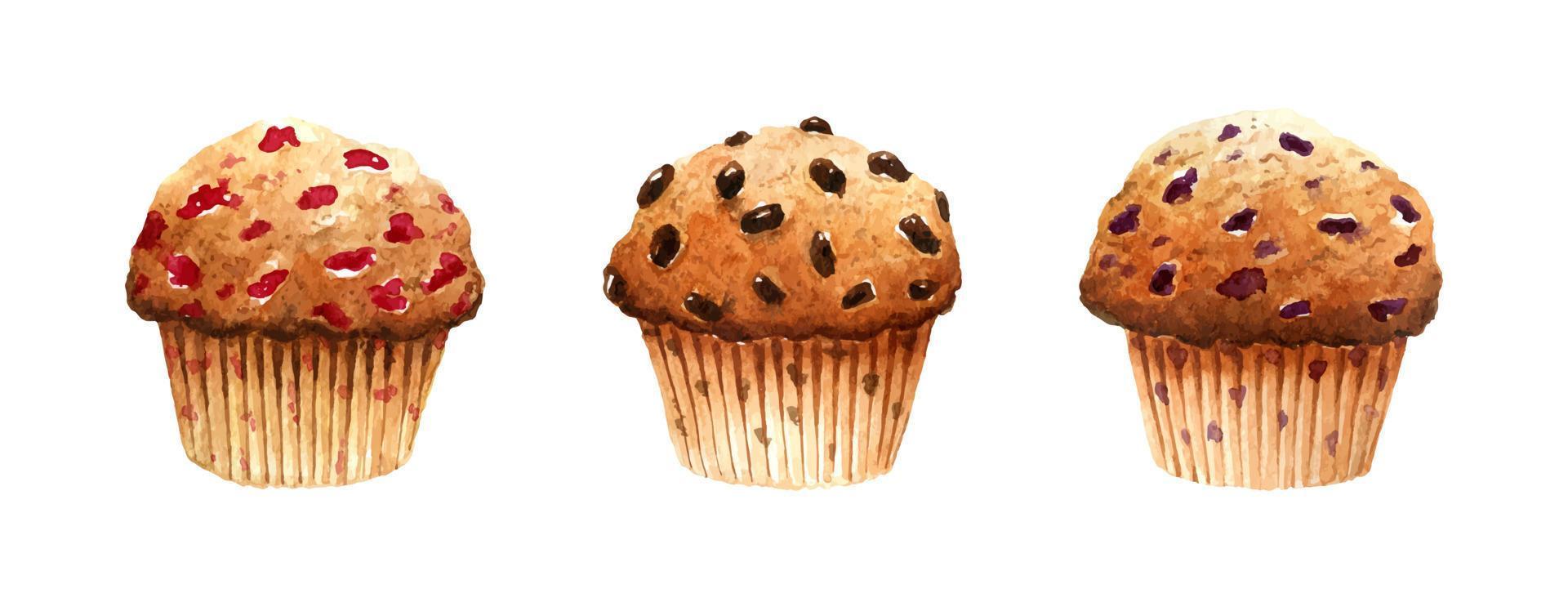 set di muffin freschi con ciliegie, cioccolato e mirtilli isolati su sfondo bianco. illustrazione disegnata a mano dell'acquerello. perfetto per il tuo progetto, carte, stampe, copertine, menu, motivi, decorazioni. vettore