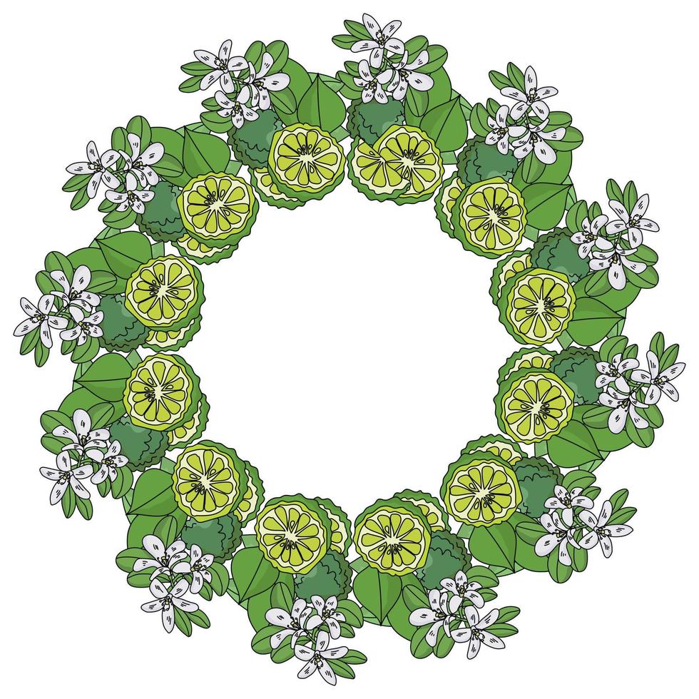 una corona di foglie, fiori e frutti di bergamotto, agrumi profumati usati per aromatizzare il tè, piante verdi con fiori chiari in una cornice rotonda vettore