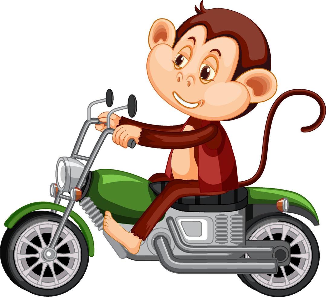Scimmietta in sella a una moto su sfondo bianco vettore