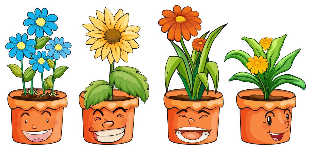Quattro vasi di fiori vettore