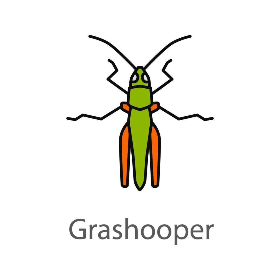 icona del colore della cavalletta. insetti nocivi. locuste. illustrazione vettoriale isolato