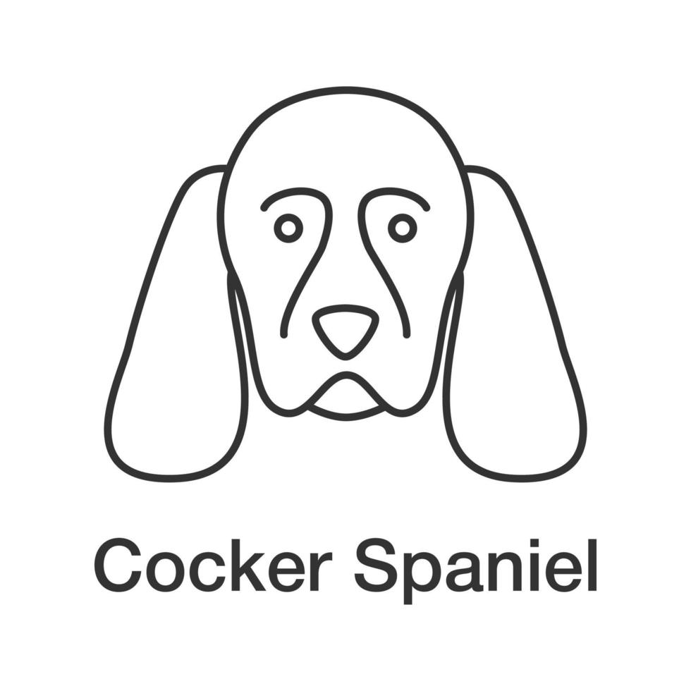 icona lineare di cocker spaniel. illustrazione di linea sottile. razza di cane da caccia. simbolo di contorno. disegno vettoriale isolato contorno