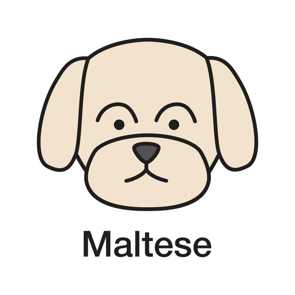 icona di colore maltese. razza di cane giocattolo. illustrazione vettoriale isolato