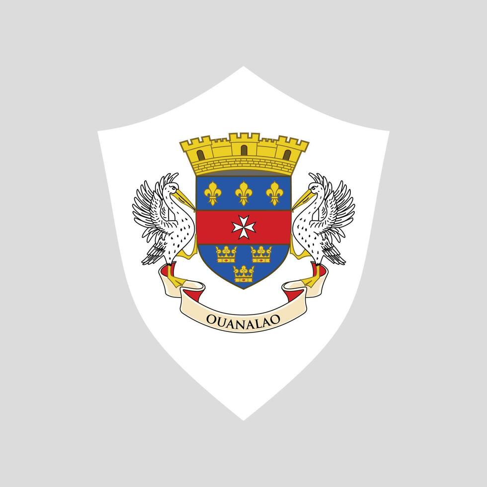 santo barthélemy bandiera nel scudo forma telaio vettore