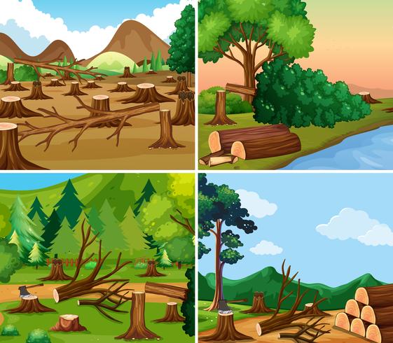 Quattro diverse scene di deforestazione vettore