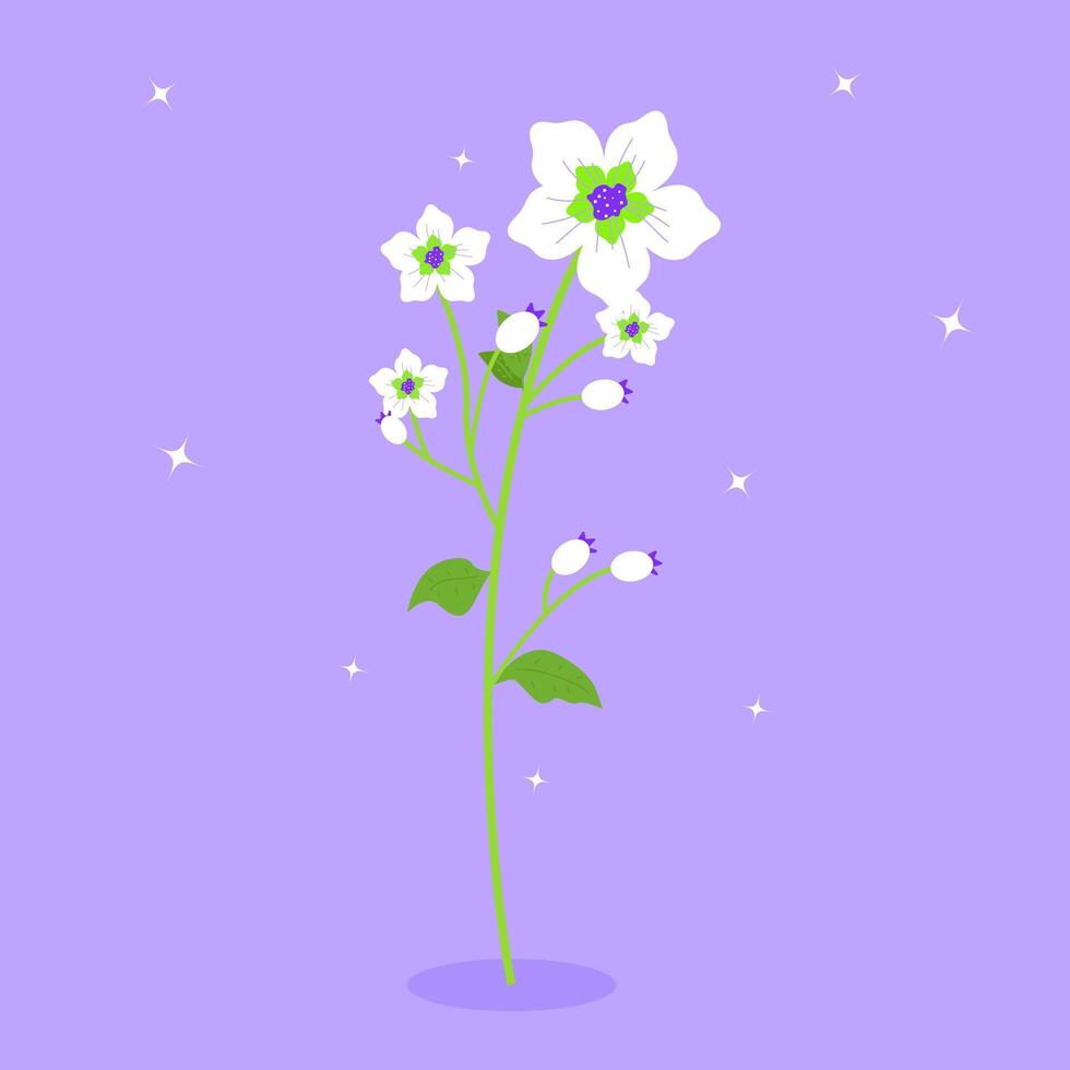 bellissimo bianca fiori fioritura vettore