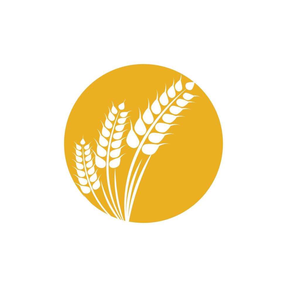 agricoltura Grano logo modello e simbolo vettore