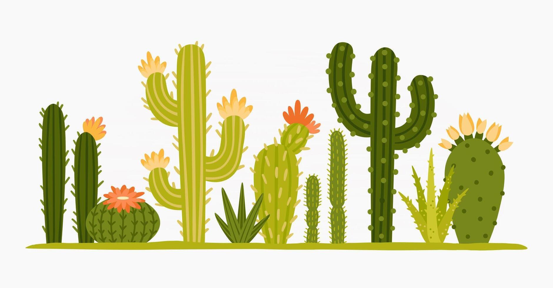 messicano deserto cactus verde cartone animato collezione flora flora vettore