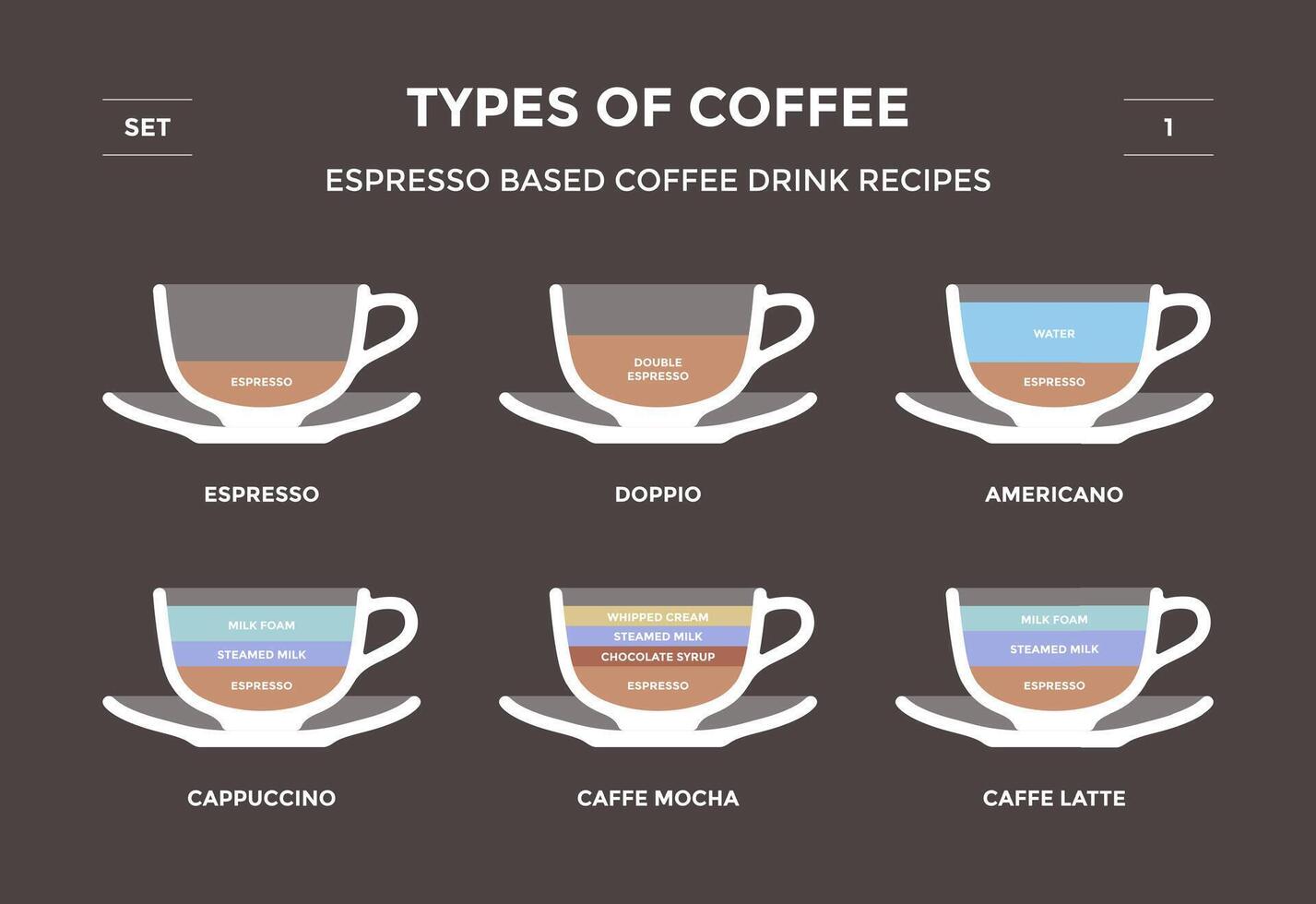 impostato tipi di caffè. info-grafica vettore