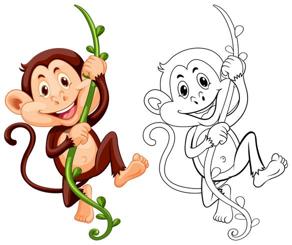 Animale da disegno per scimmia sulla vite vettore