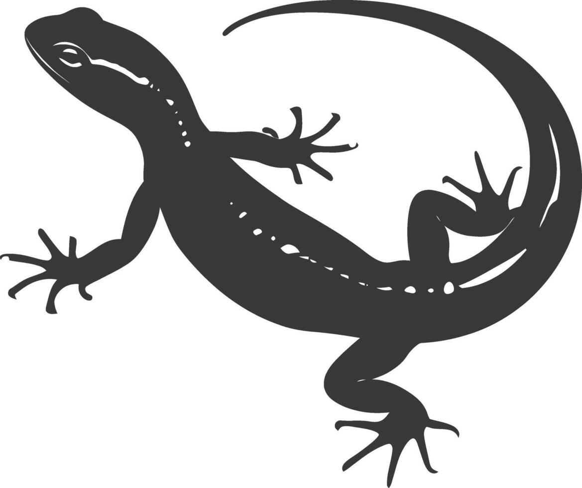 silhouette salamandra animale nero colore solo vettore